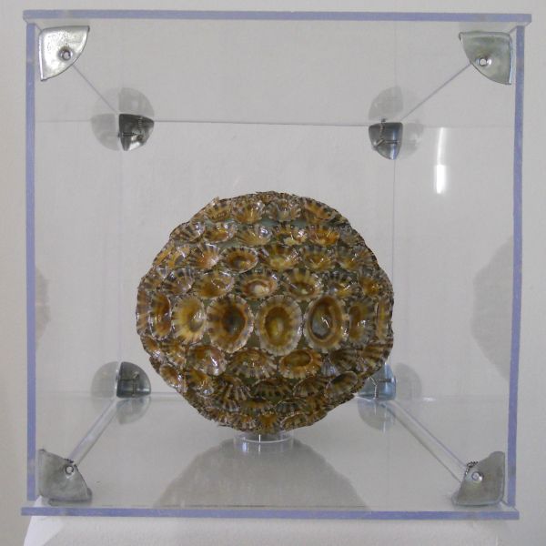MW 04 (Normale Auflösung)